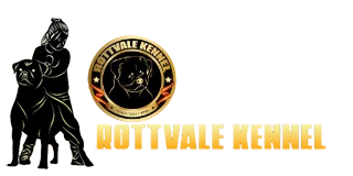 Rottvale Kennel | Élevage Rottweiler à Valence